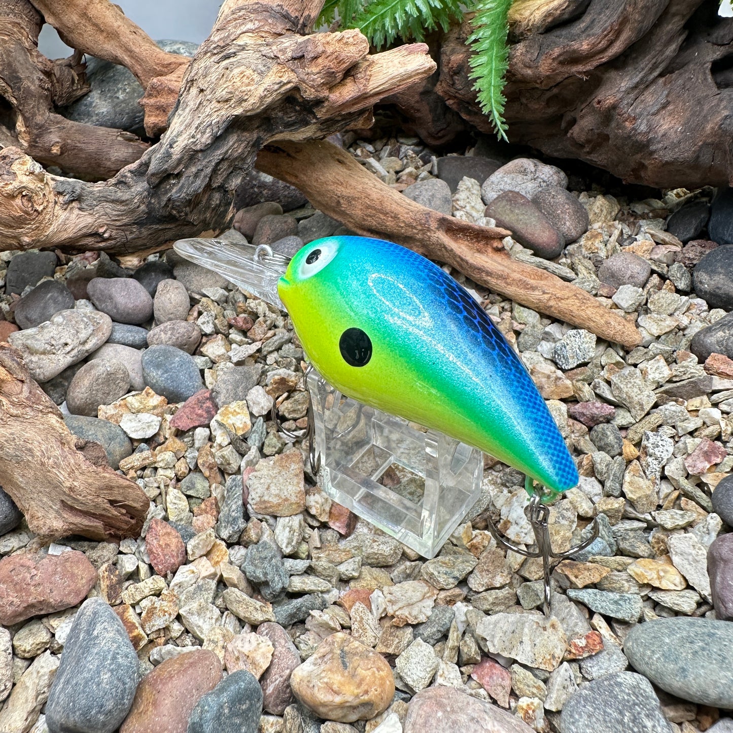 JKB DD Wiggle Wart
