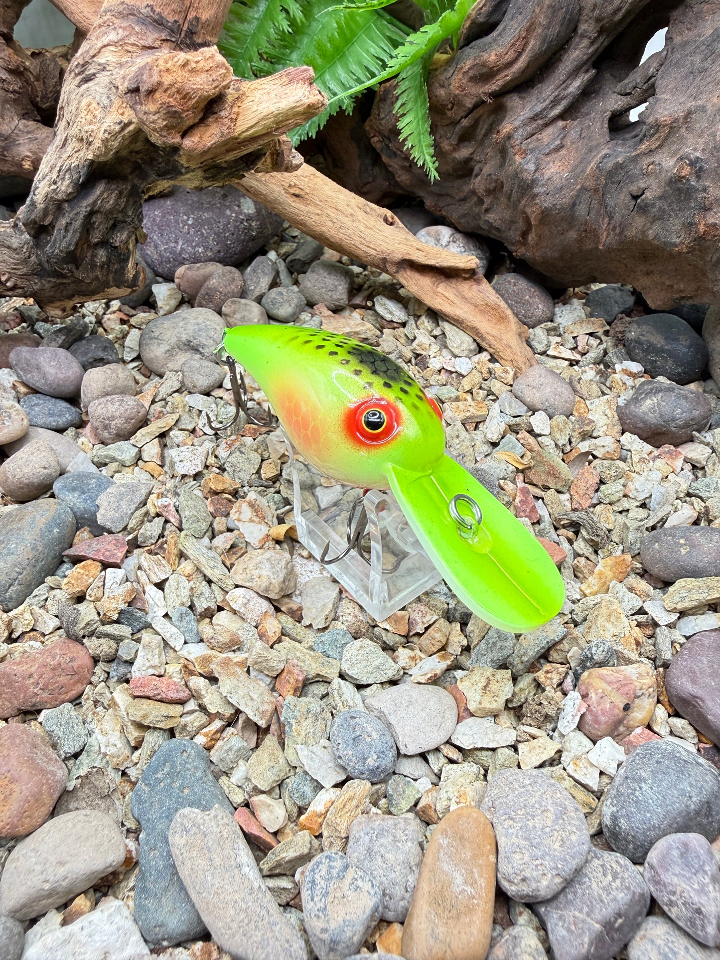 Nuked Dread MD Wart