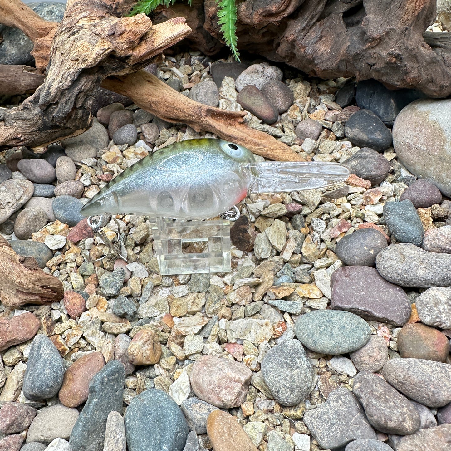 JKB DD Wiggle Wart