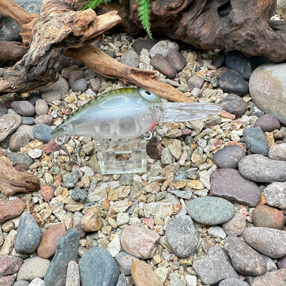JKB DD Wiggle Wart