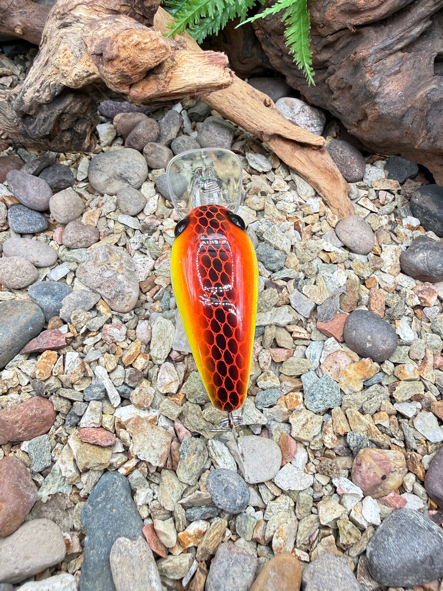 JKB MD Wiggle Wart Sunset Dread
