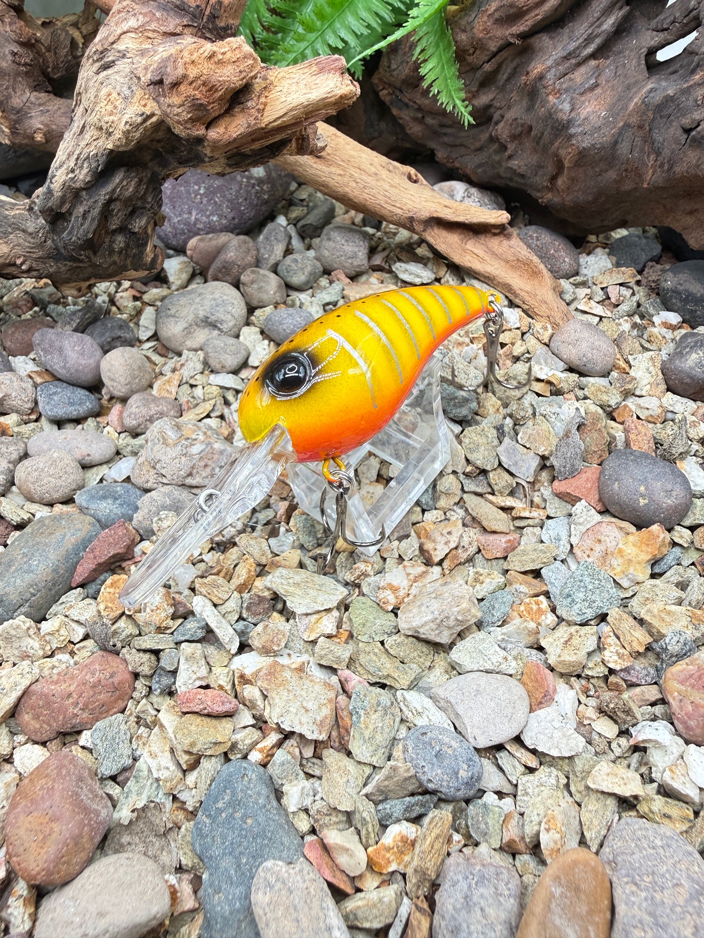 JKB MD Wiggle Wart