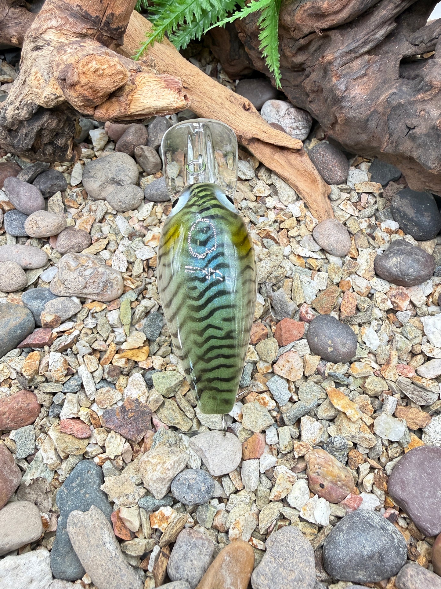 JKB DD Wiggle Wart