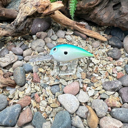 JKB OG Wiggle Wart