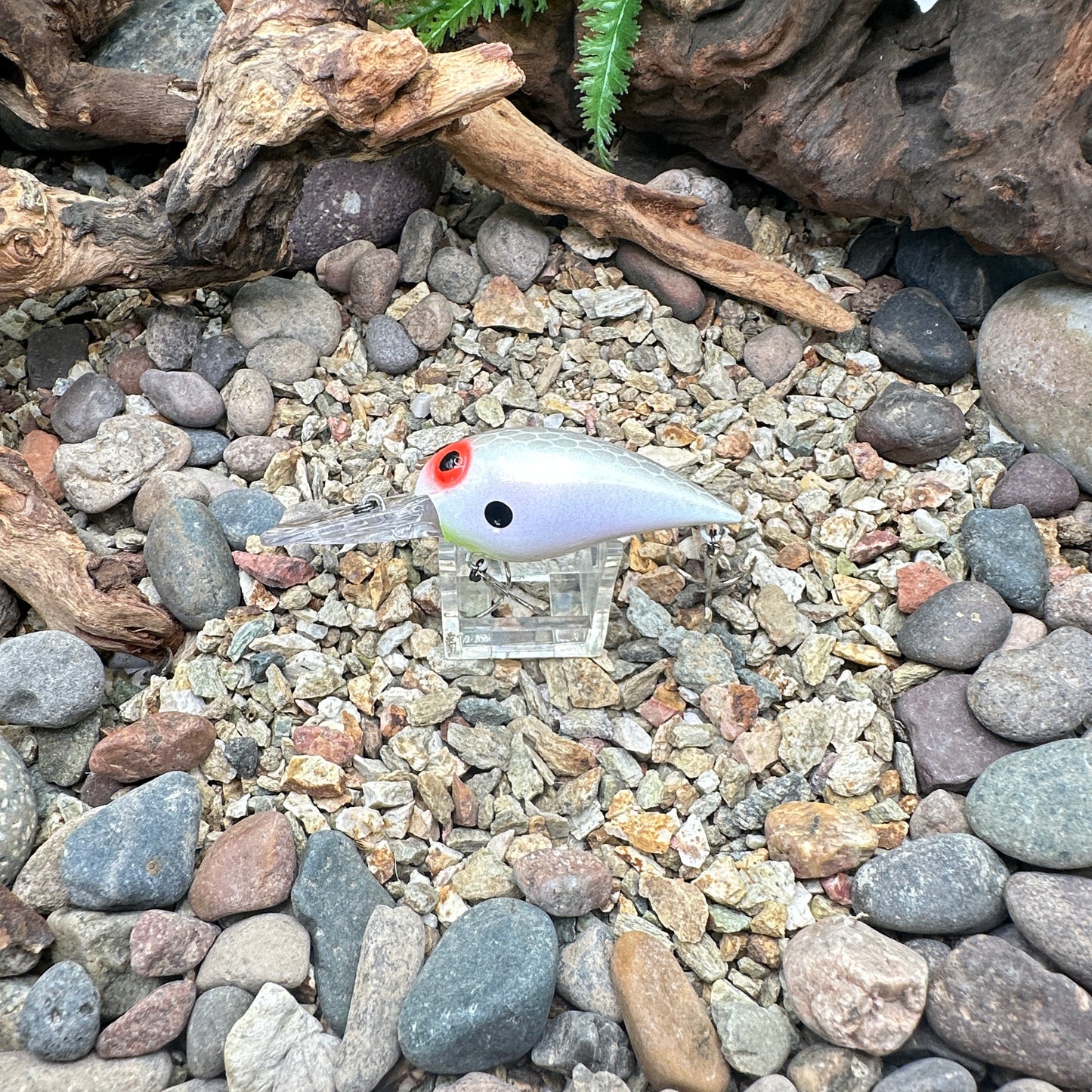 JKB OG Wiggle Wart