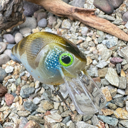 JKB 2.5 SB
