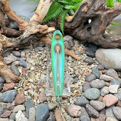 Shimano Current Sniper -Repaint