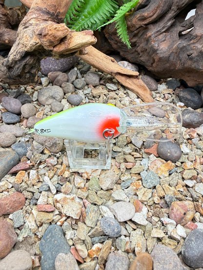 JKB MD Wiggle Wart