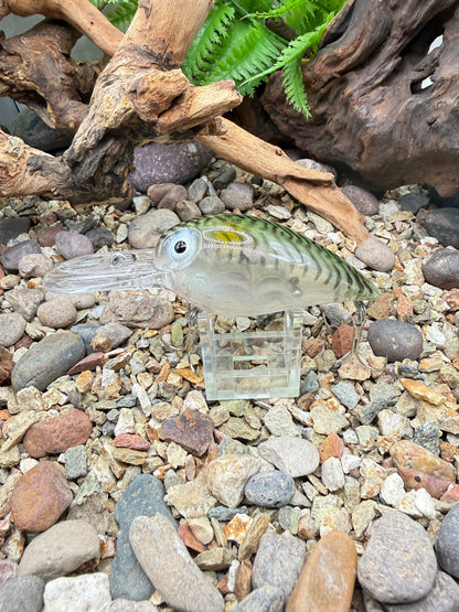 JKB DD Wiggle Wart