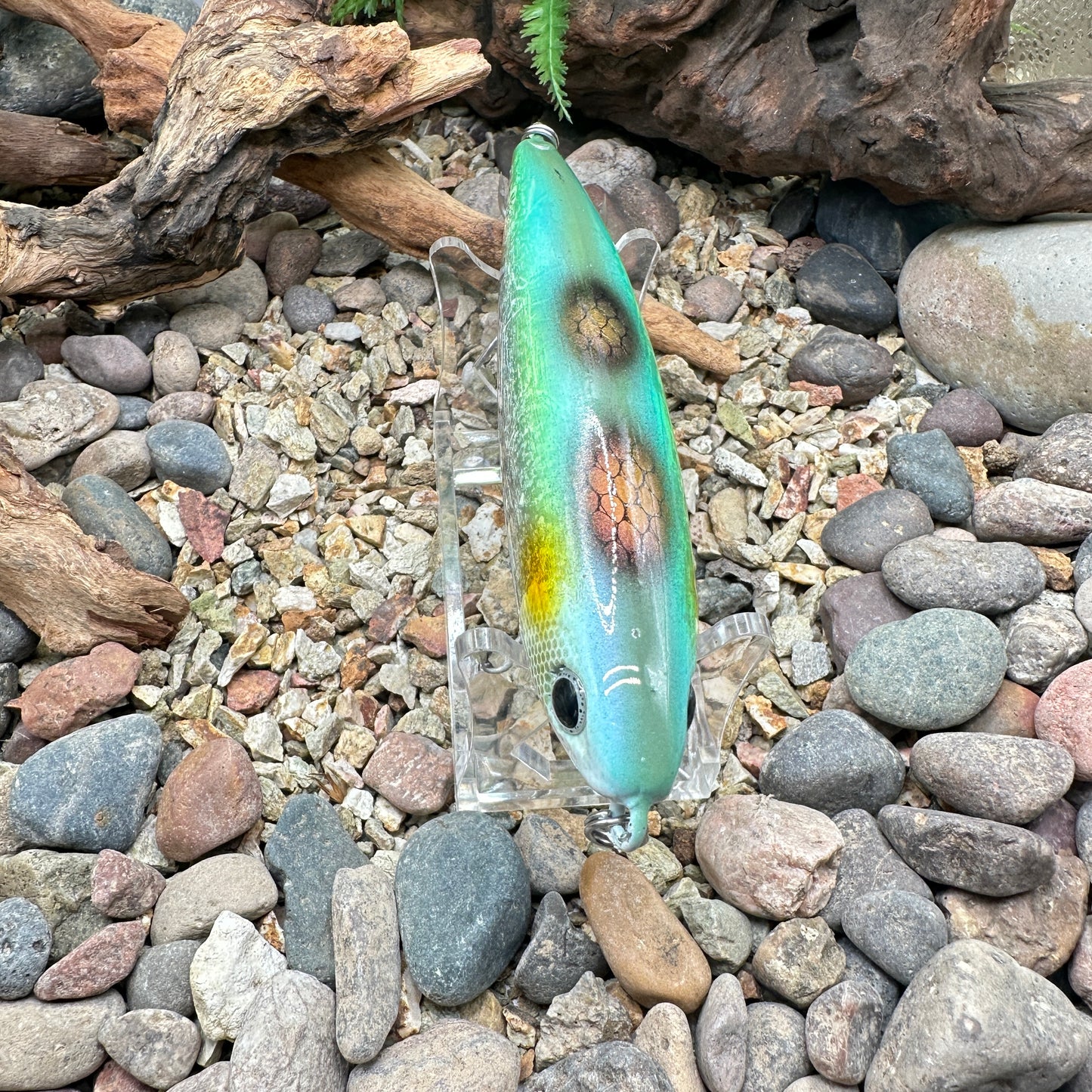 Shimano Current Sniper -Repaint