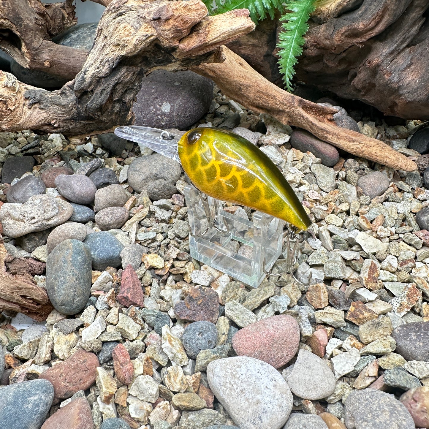 JKB OG Wiggle Wart