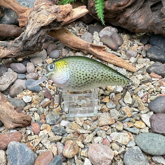 JKB 2.5 SB