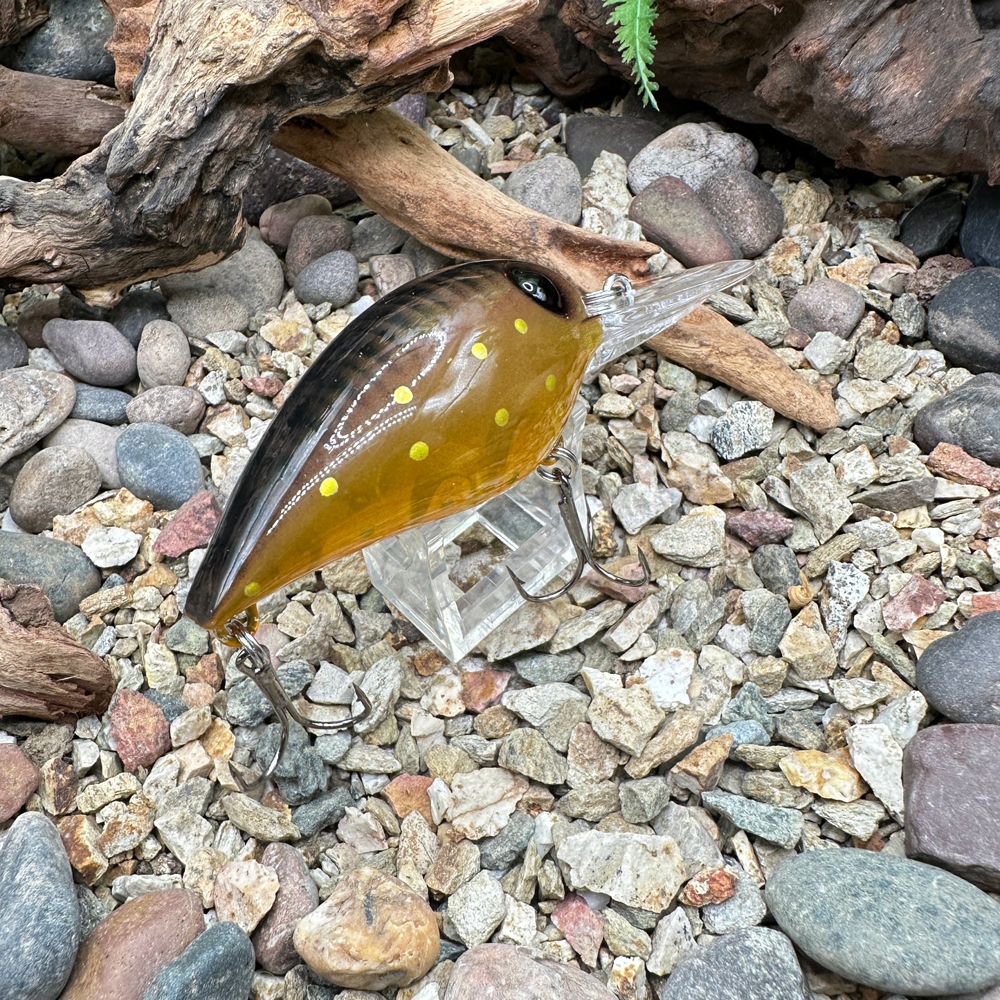 JKB DD Wiggle Wart