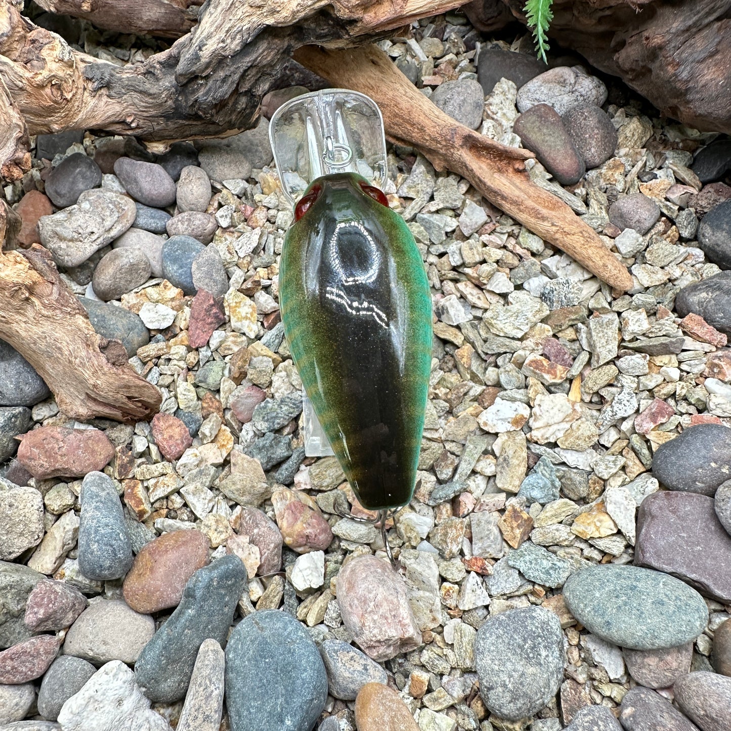 JKB DD Wiggle Wart