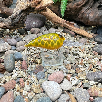 JKB OG Wiggle Wart