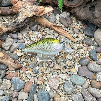 JKB 2.5 SB