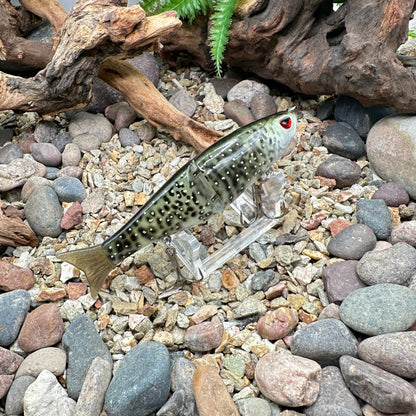 JKB Mini Arashi