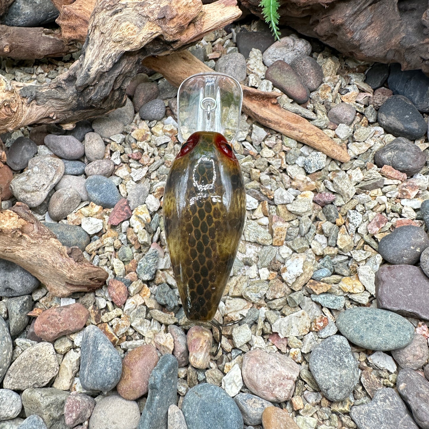 JKB DD Wiggle Wart