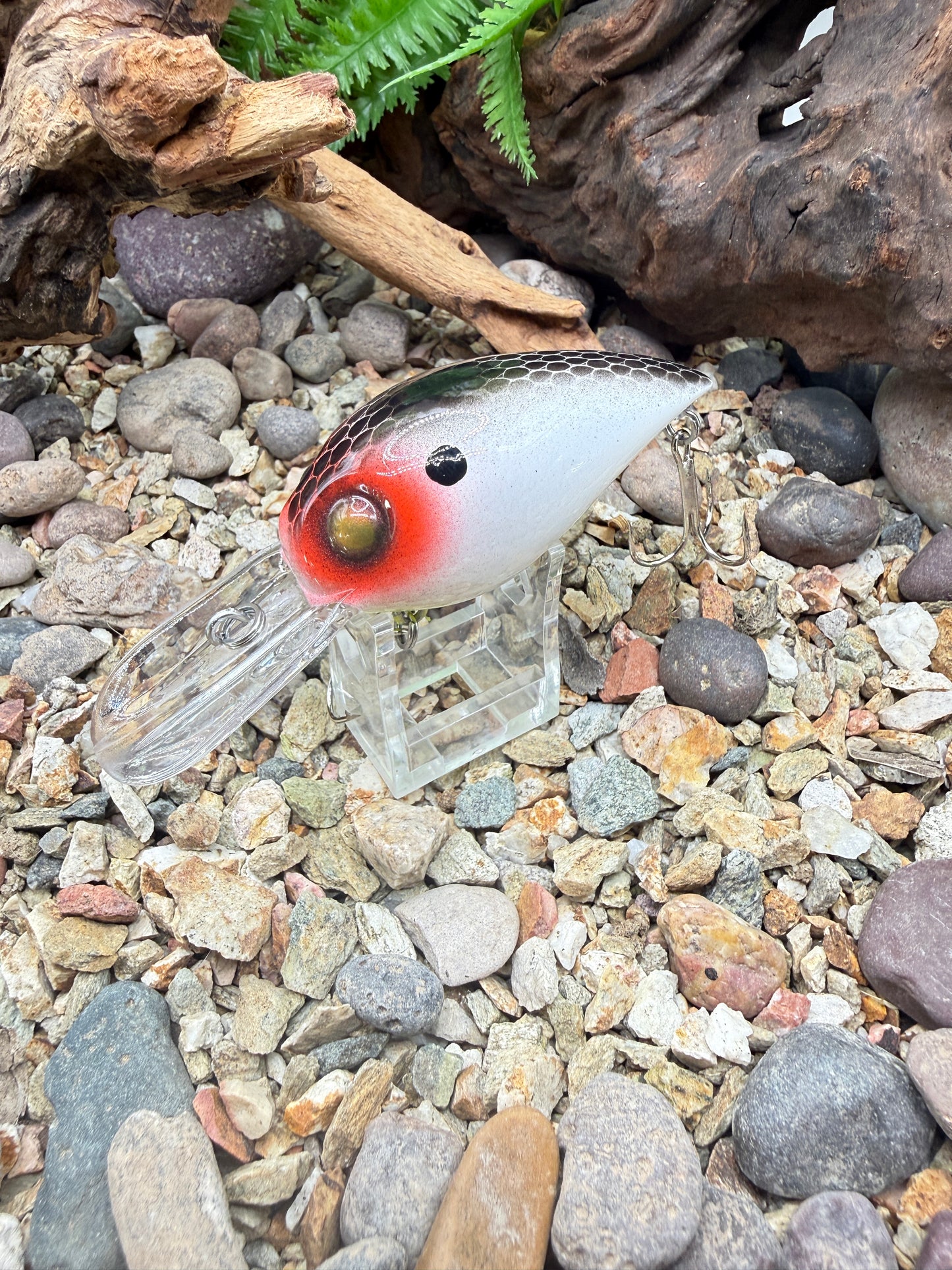 JKB DD Wiggle Wart *guaranteed to catch*