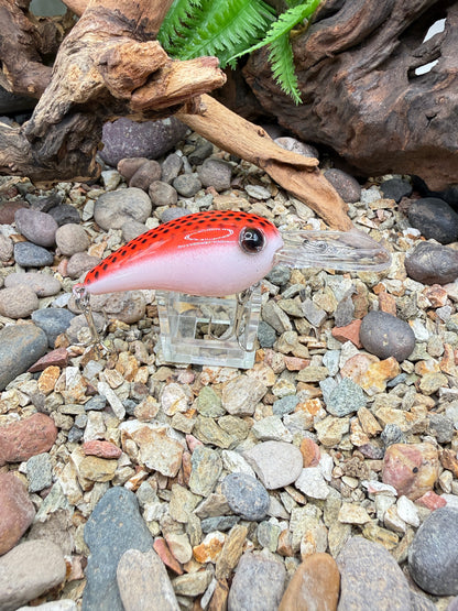 JKB Wiggle Wart S Dread Red