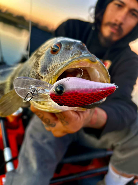 JKB Wiggle Wart S Dread Red