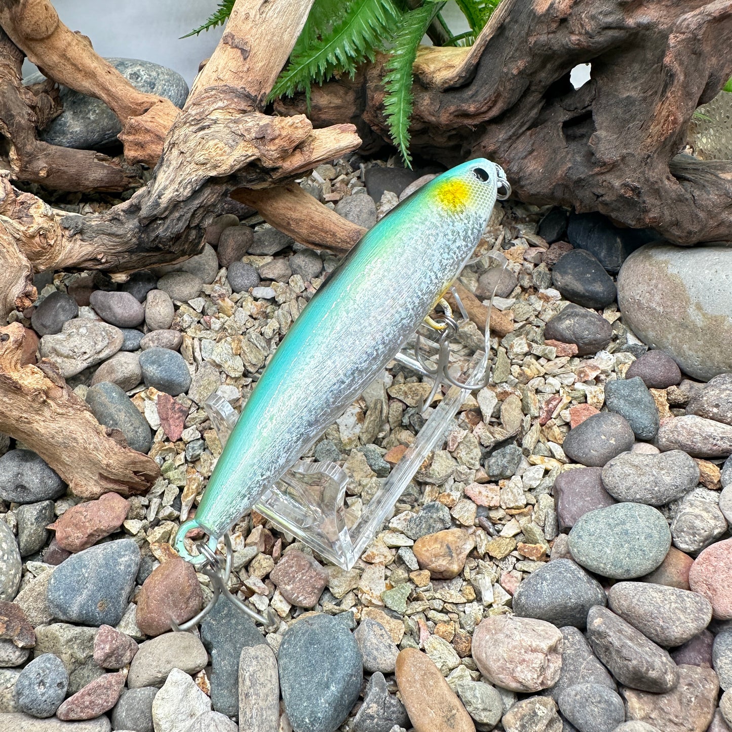 Shimano Current Sniper -Repaint