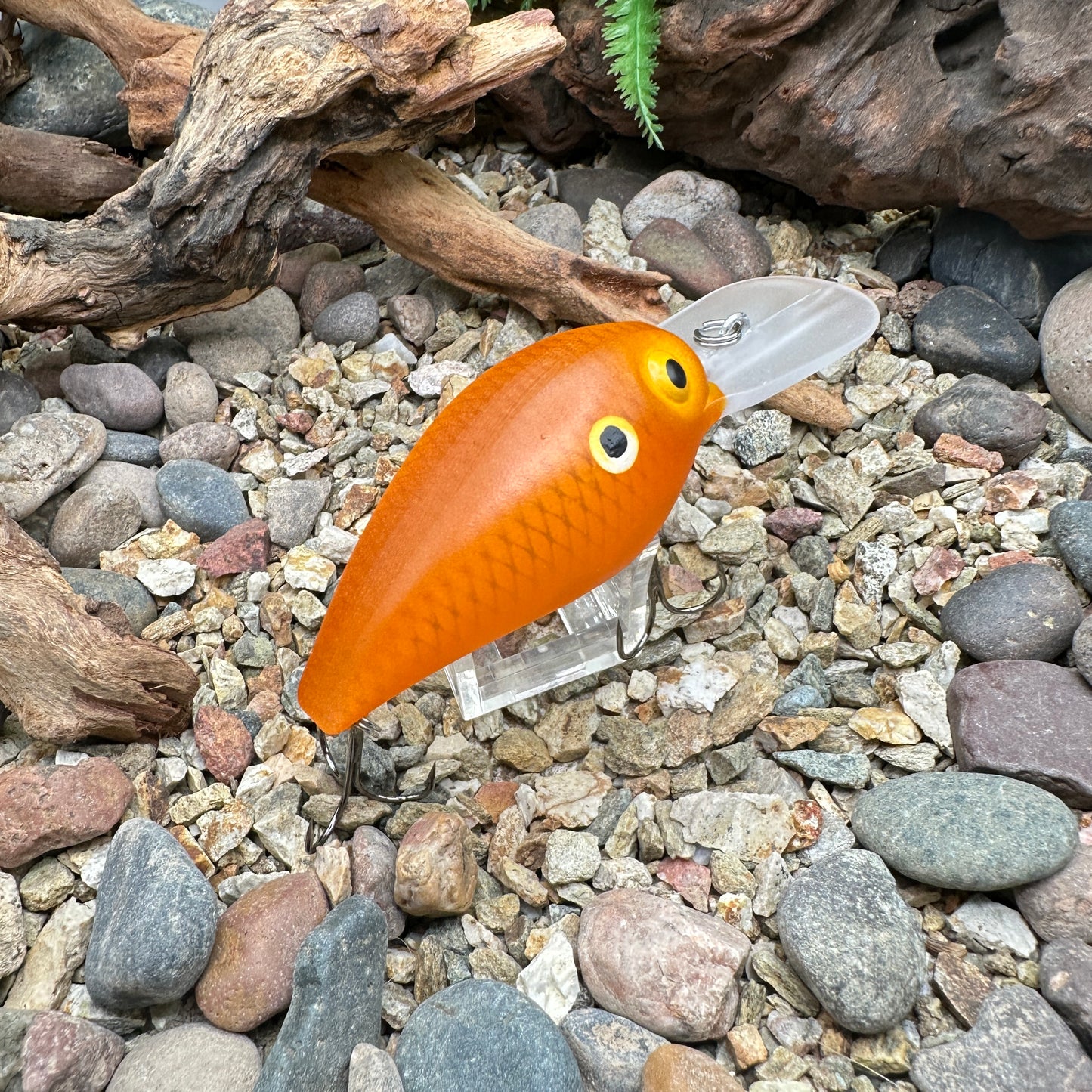 JKB DD Wiggle Wart