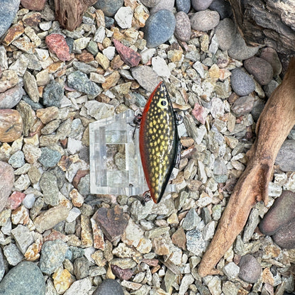 JKB Tiny Trap
