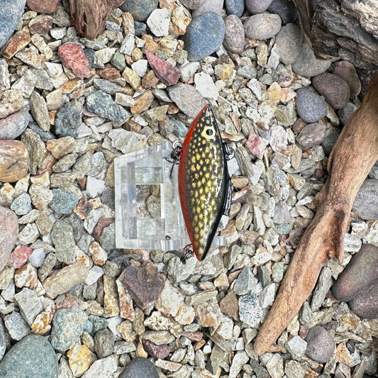 JKB Tiny Trap