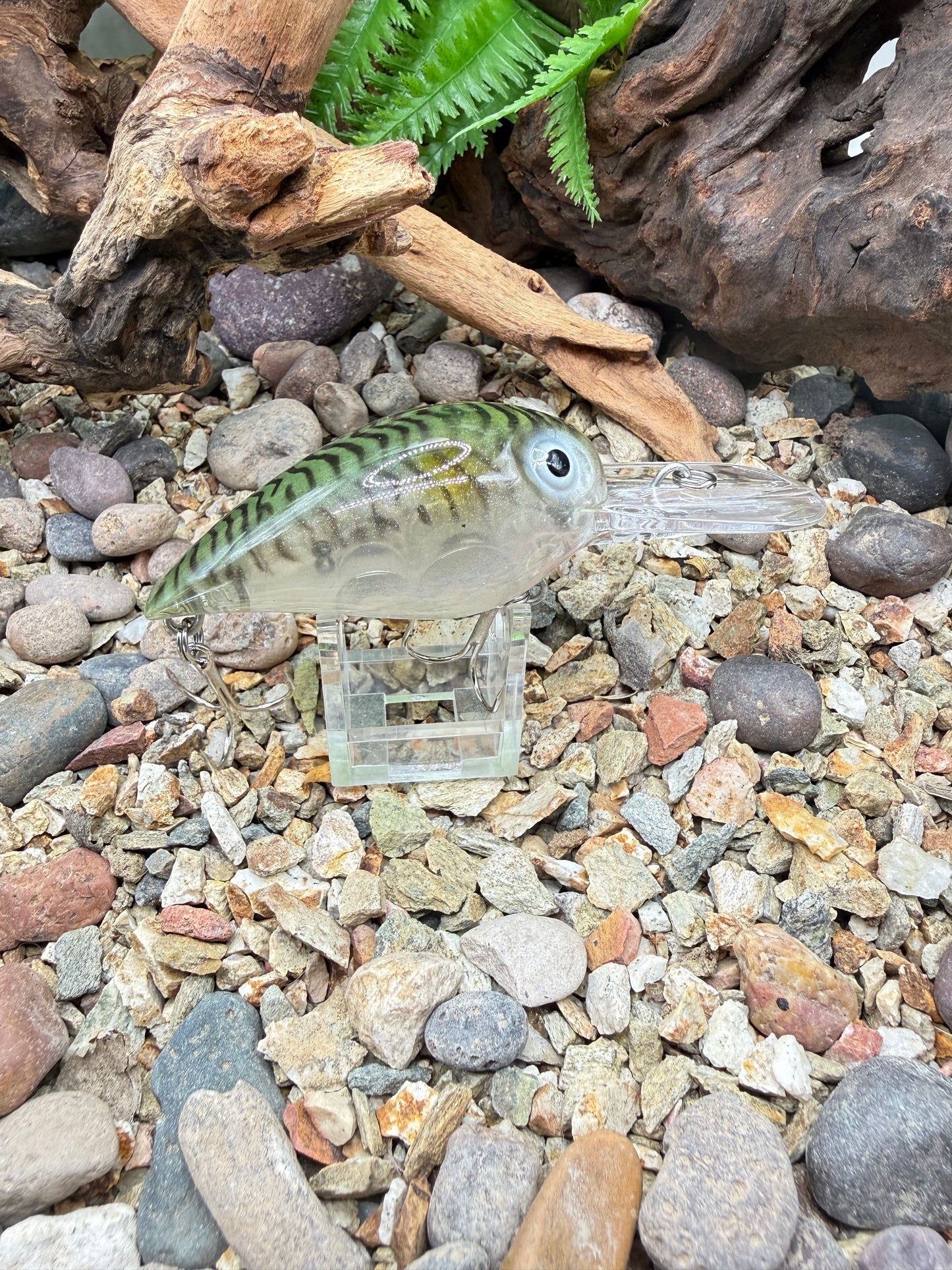 JKB DD Wiggle Wart