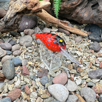 JKB OG Wiggle Wart