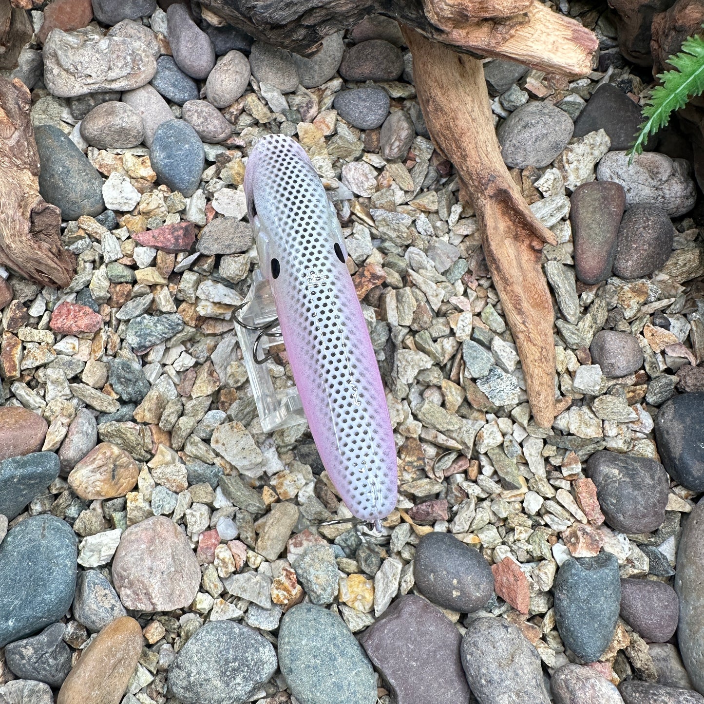 JKB S Popper CC