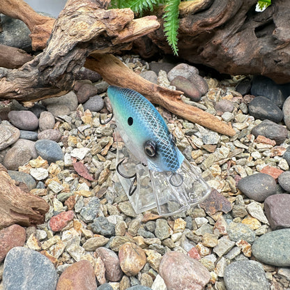 Speed Trap Repaint