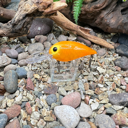 JKB OG Wiggle Wart