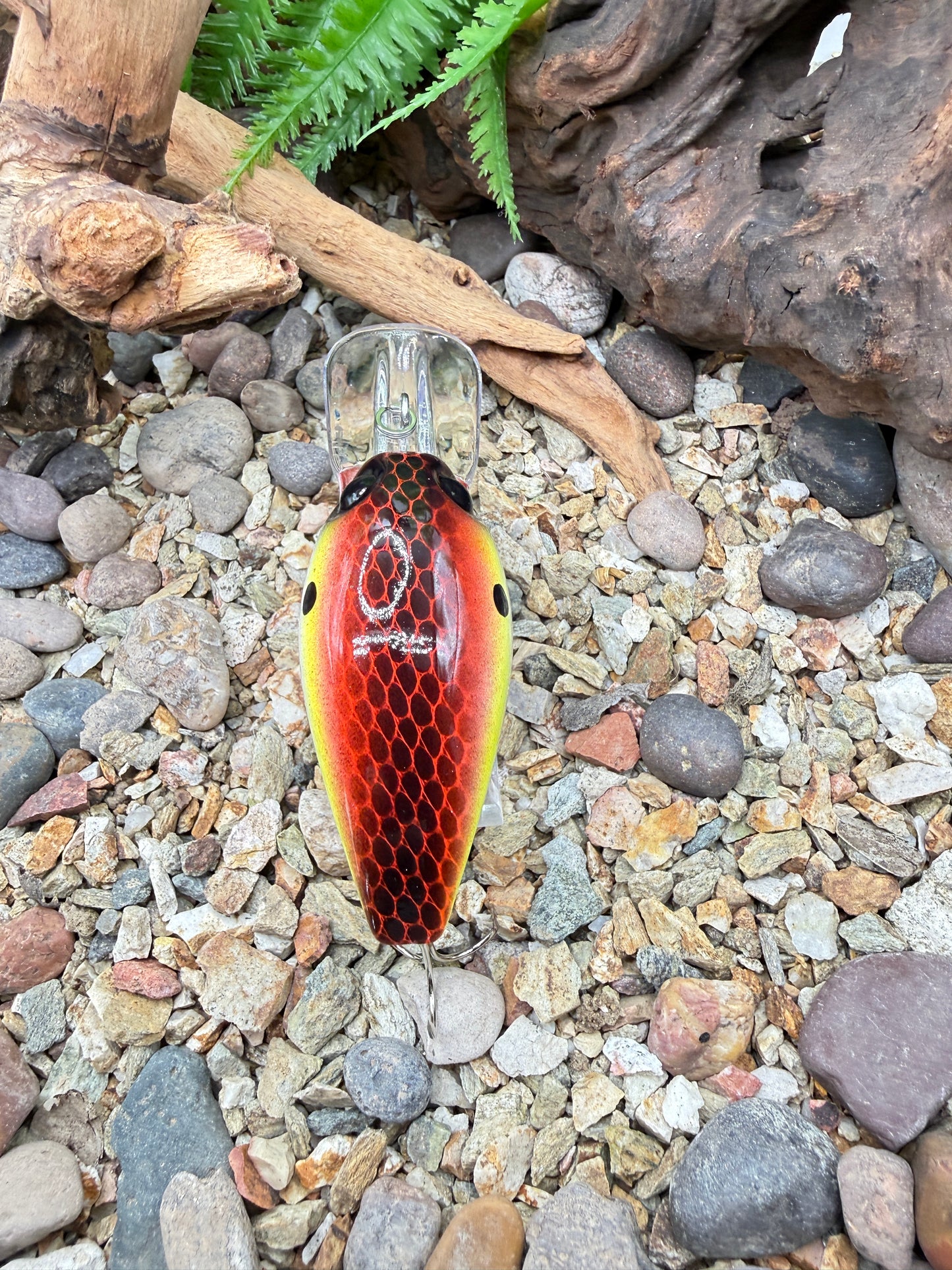 JKB DD Wiggle Wart Sunset Dread
