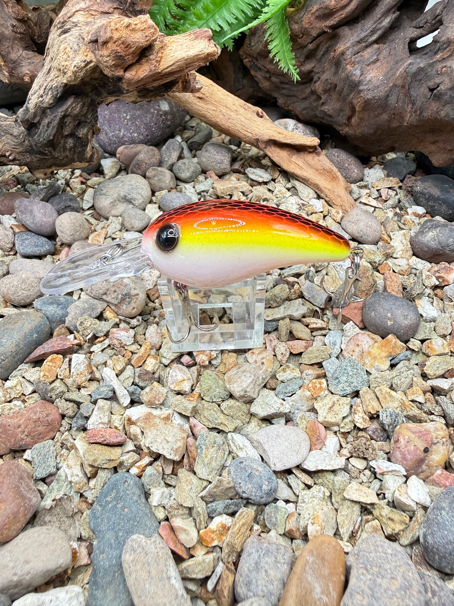 JKB MD Wiggle Wart Sunset Dread