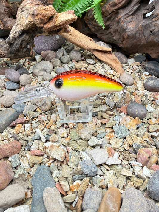 JKB MD Wiggle Wart Sunset Dread