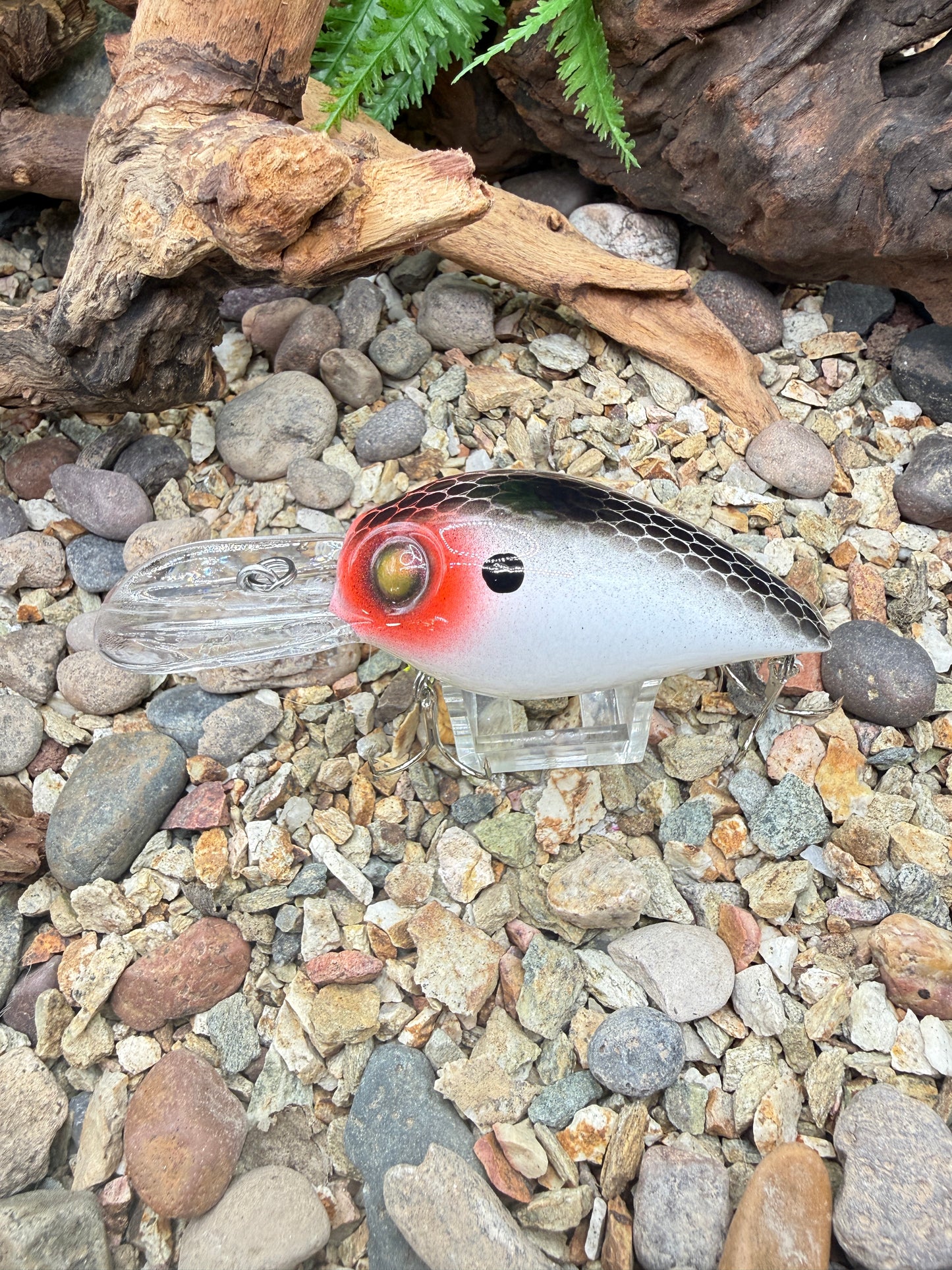 JKB DD Wiggle Wart *guaranteed to catch*