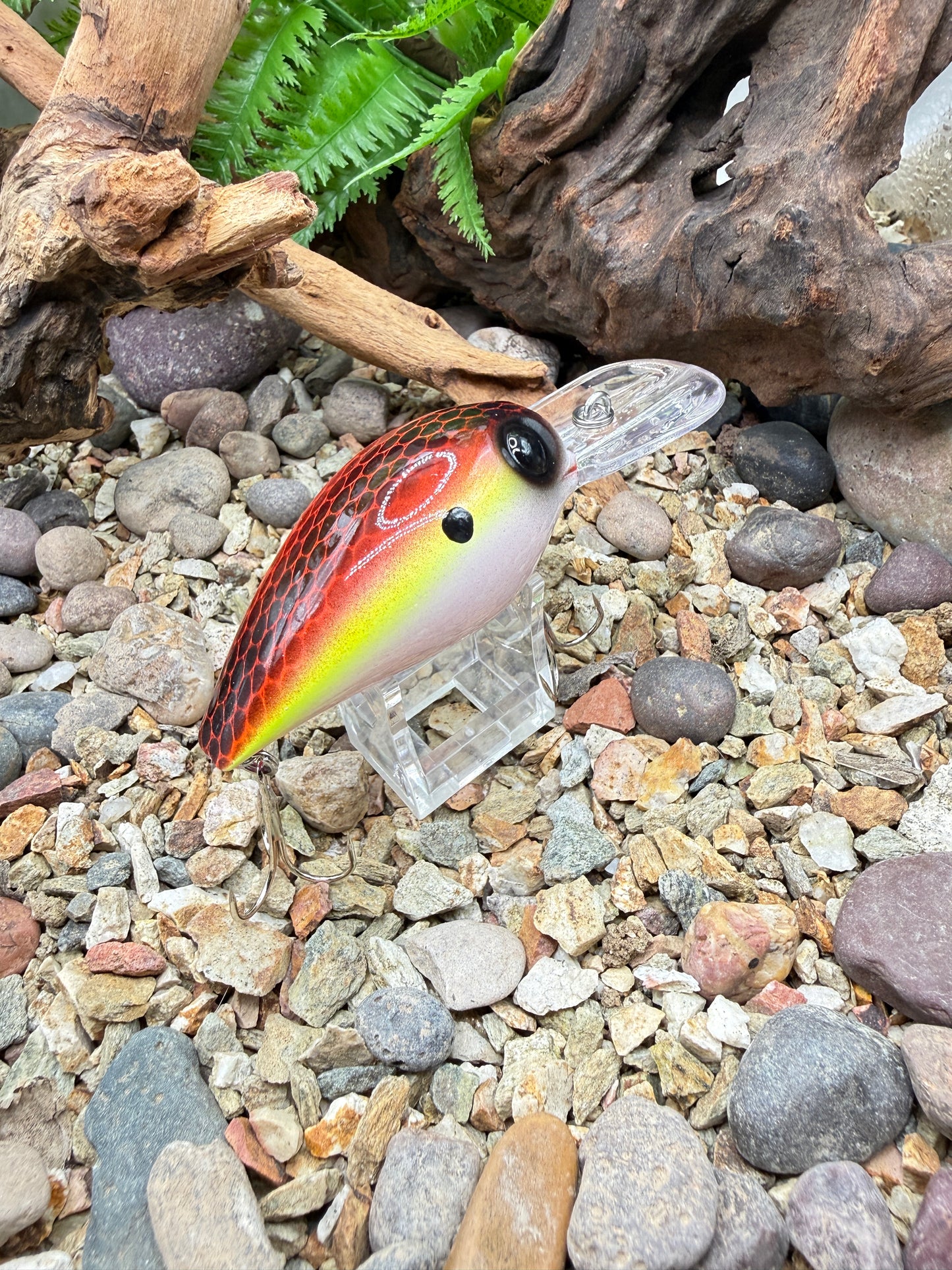 JKB DD Wiggle Wart Sunset Dread