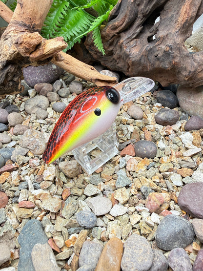 JKB DD Wiggle Wart Sunset Dread