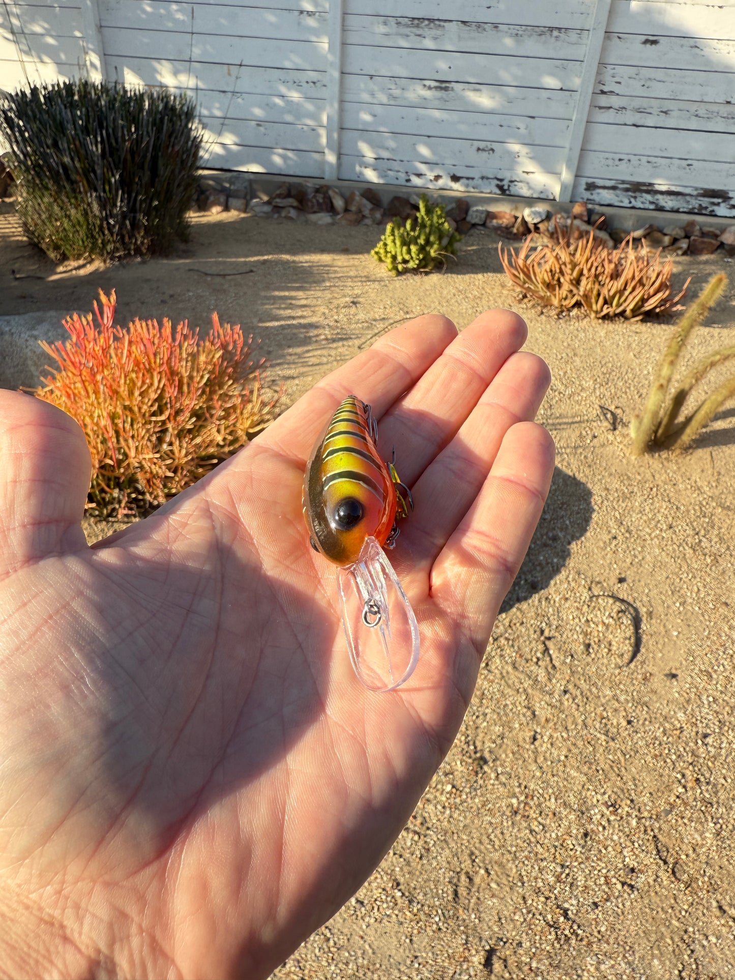 DD Wart Spottie Juice