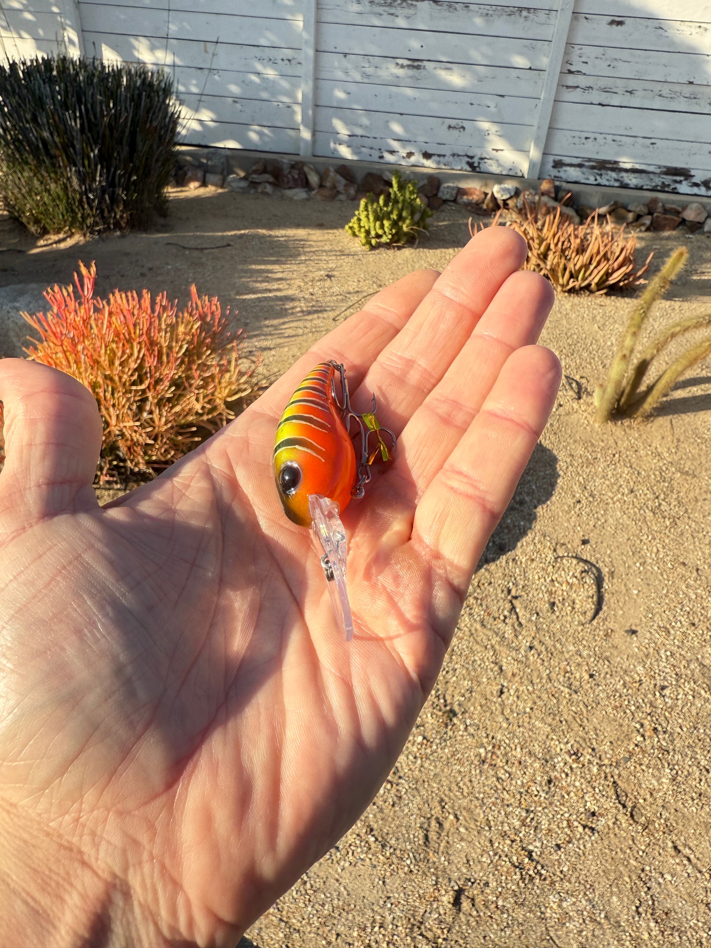 DD Wart Spottie Juice