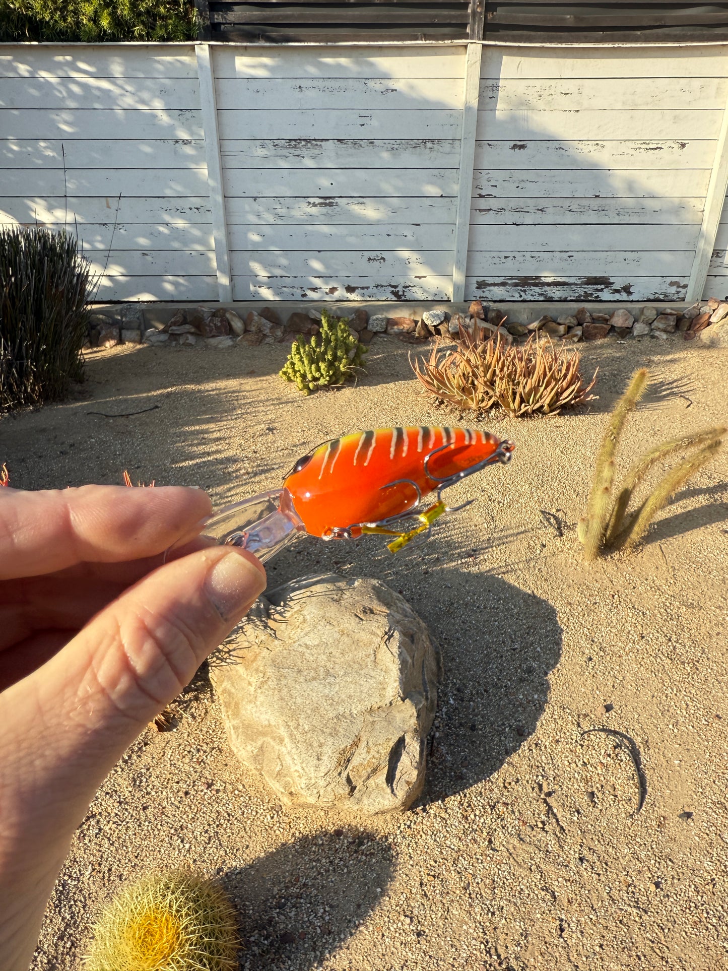 DD Wart Spottie Juice