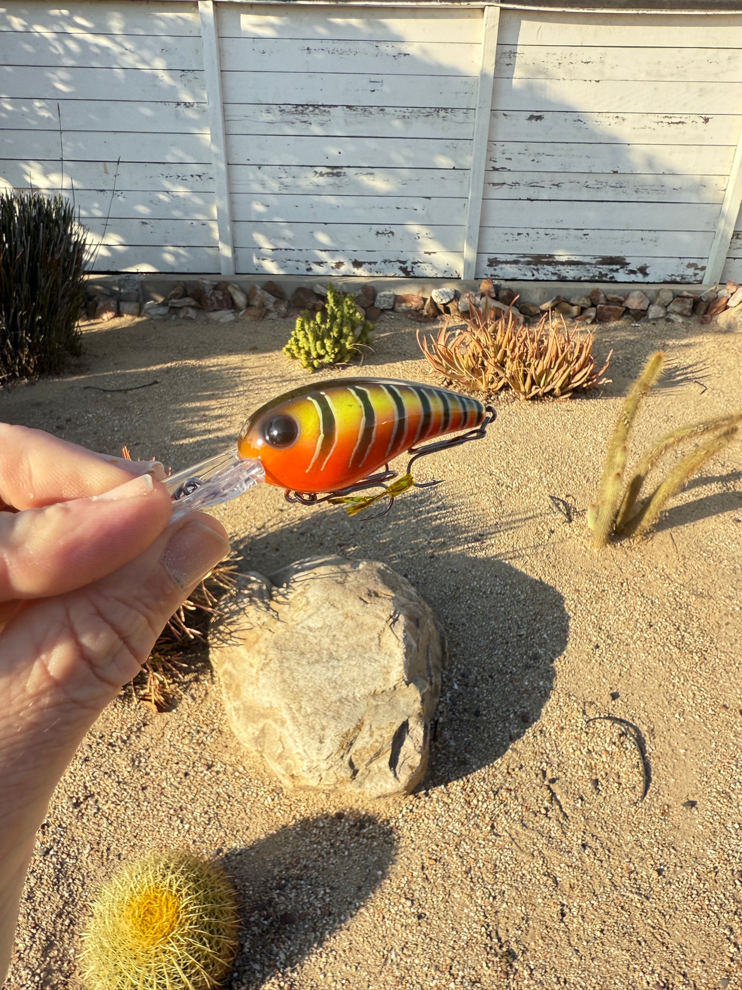 DD Wart Spottie Juice