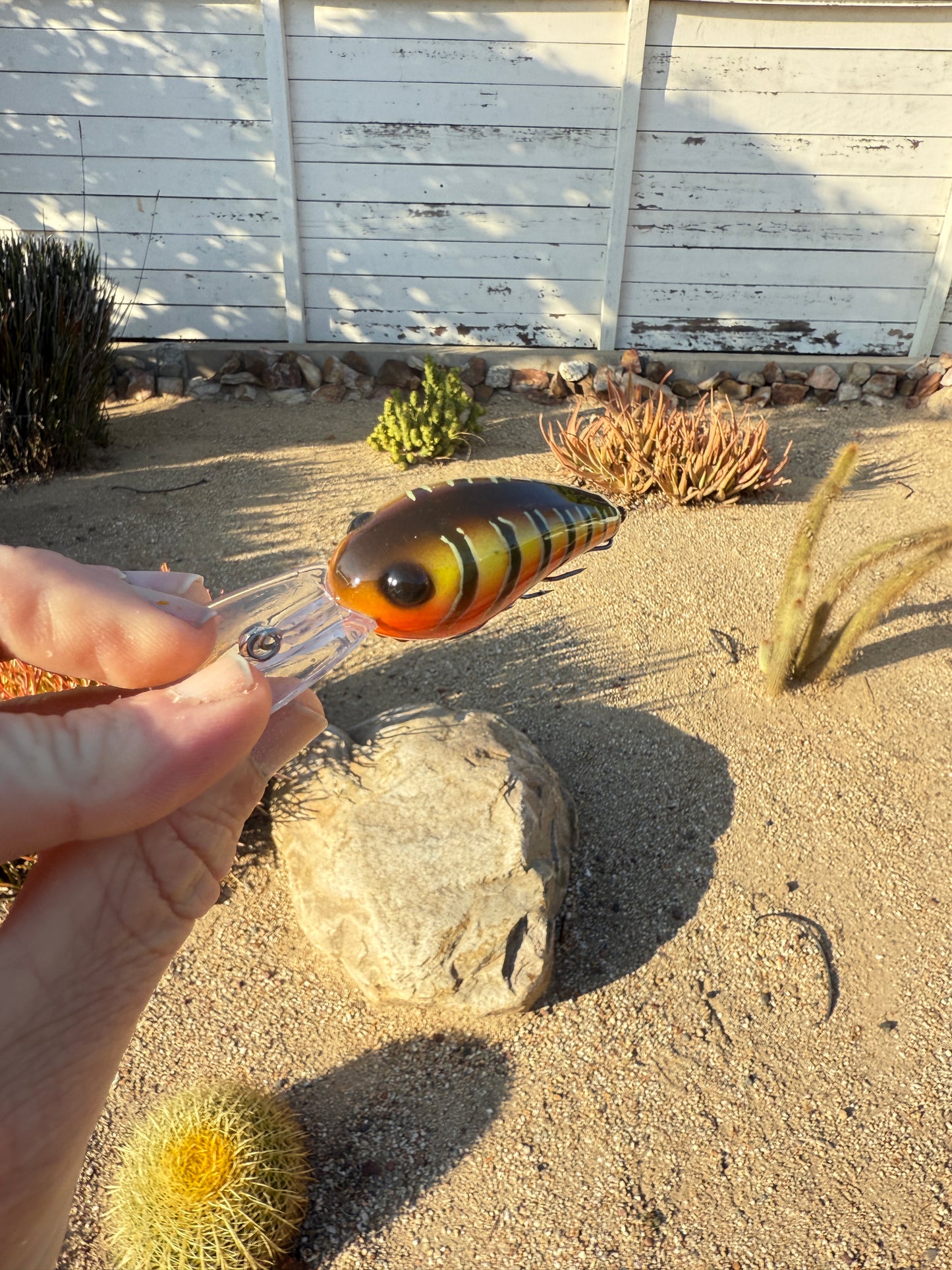 DD Wart Spottie Juice