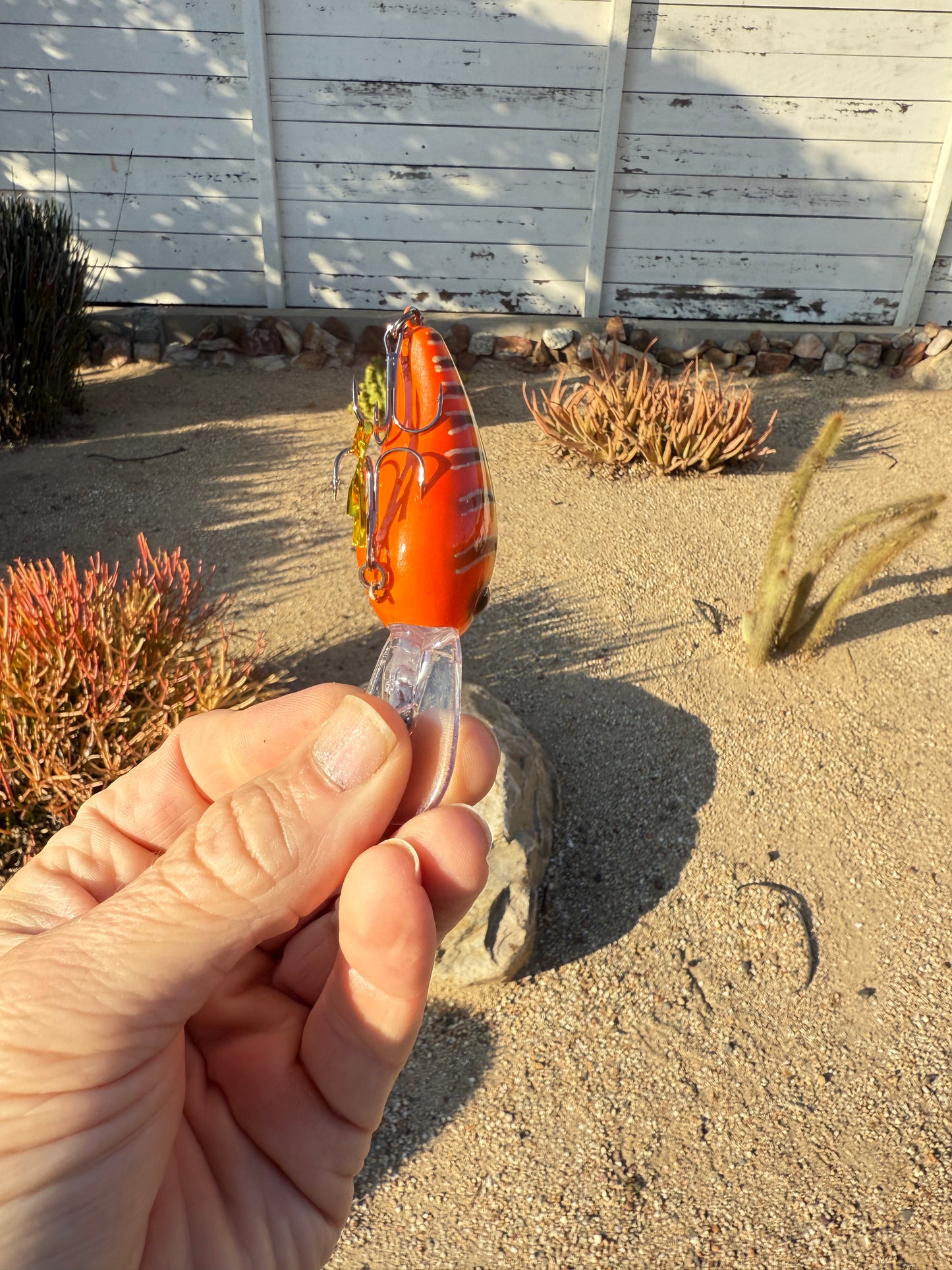 DD Wart Spottie Juice