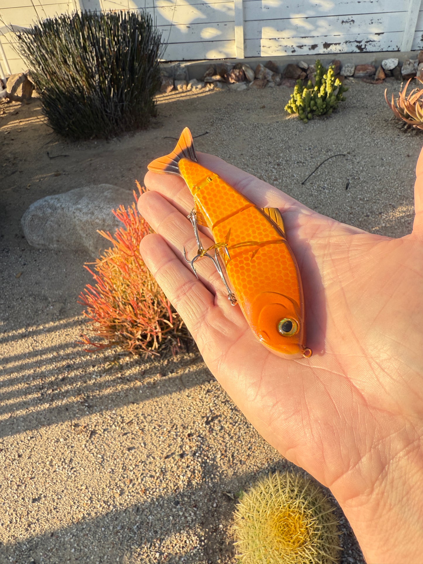 JKB Senorita Swimmer