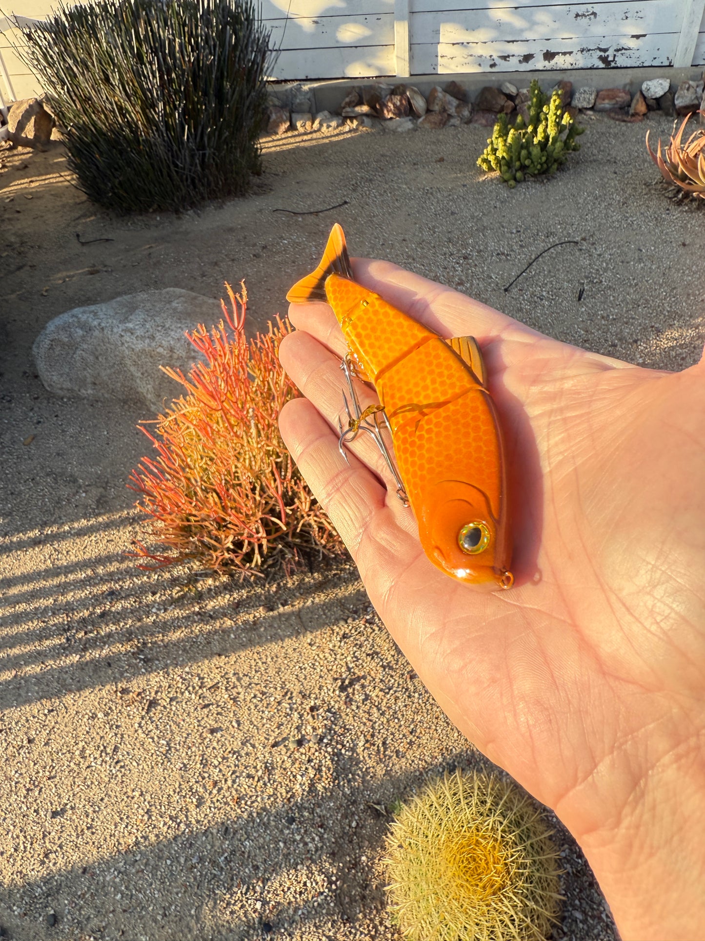 JKB Senorita Swimmer