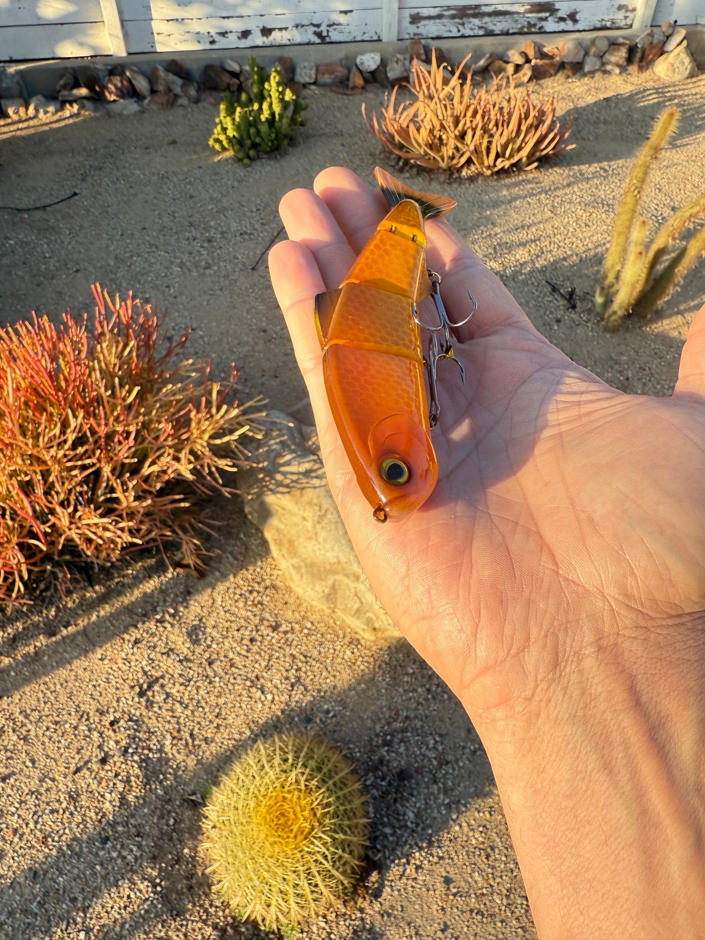 JKB Senorita Swimmer