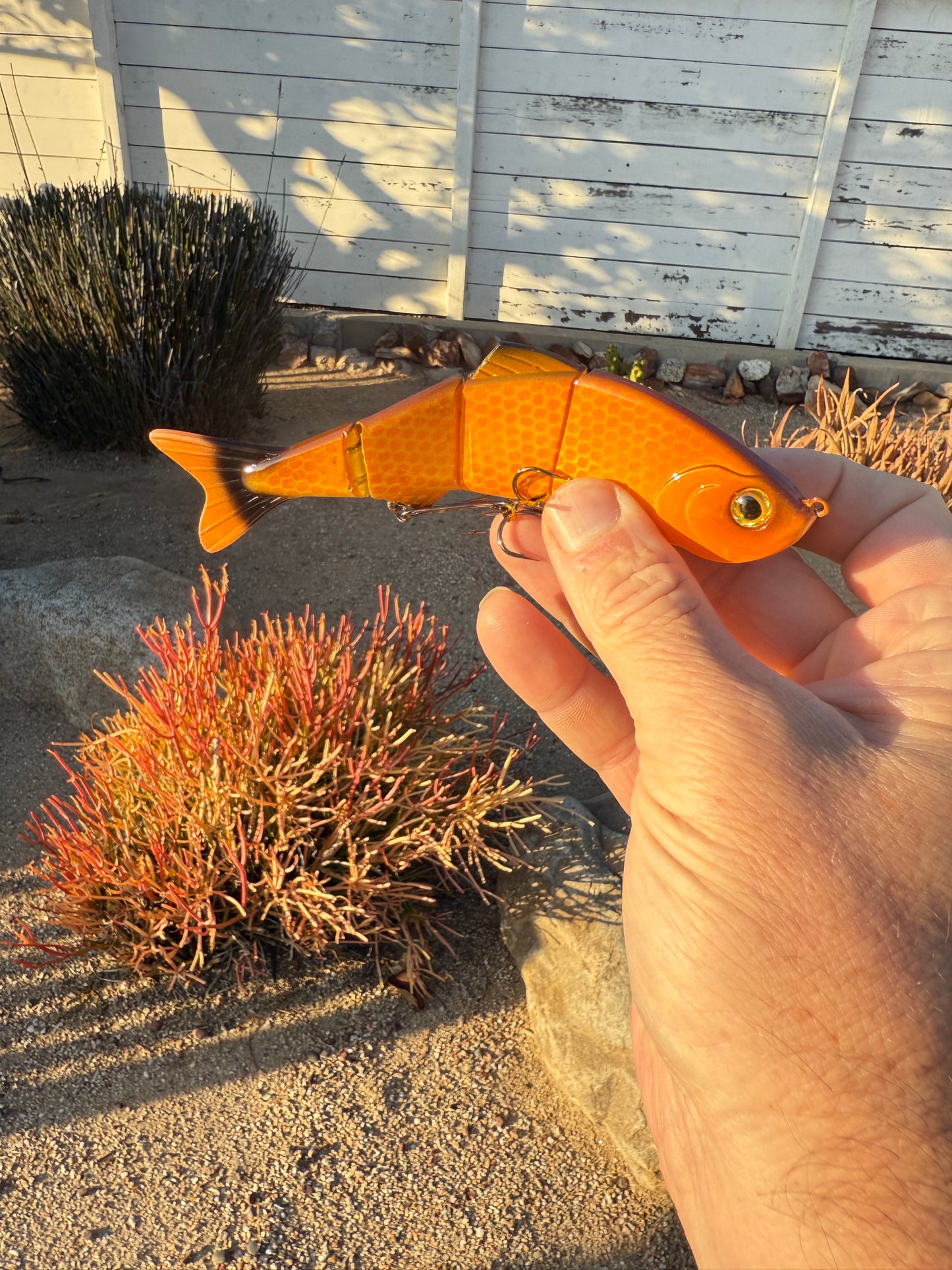 JKB Senorita Swimmer